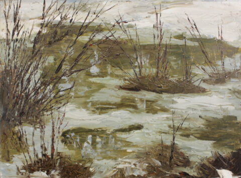 Winter Stream